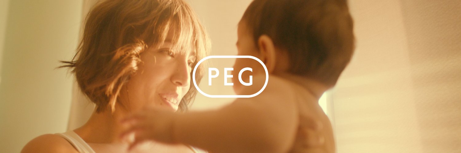 Peg Perego banner