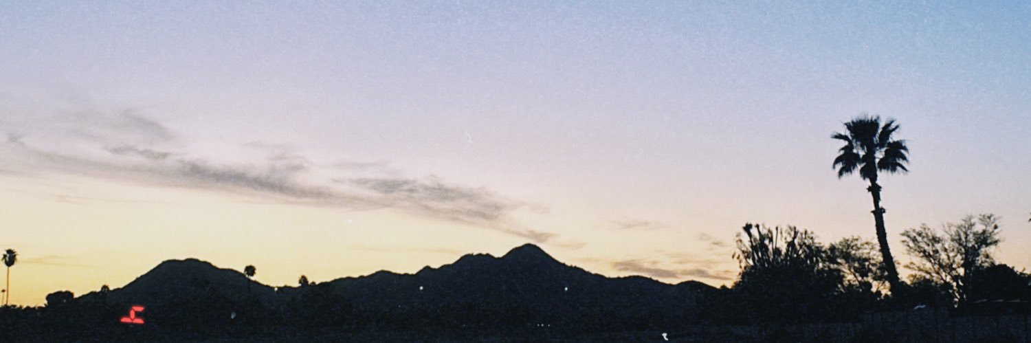 Baylee Bloom banner