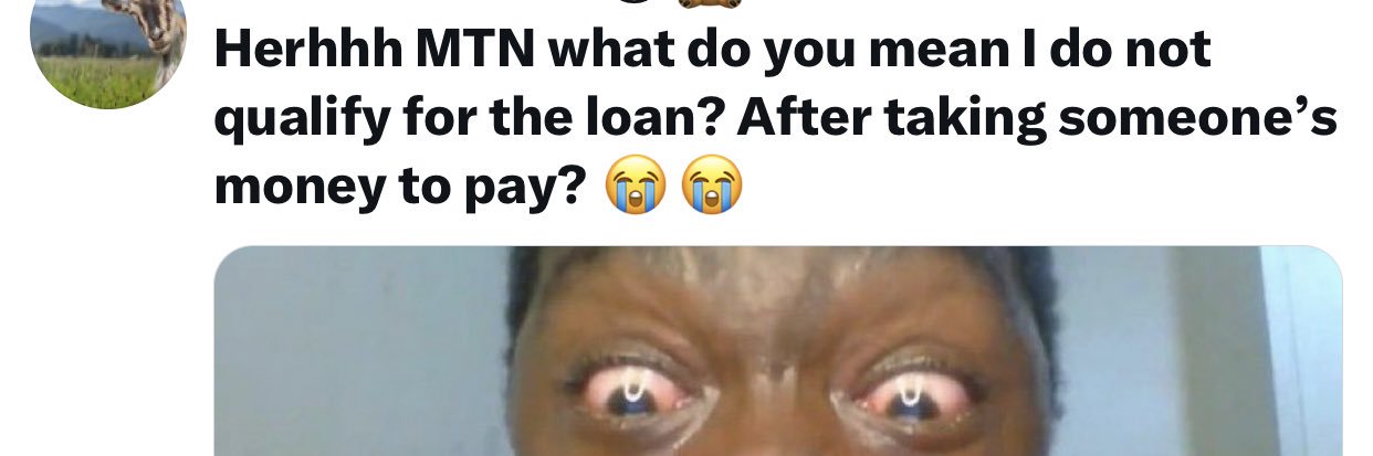 TWEETLAND 💯 banner