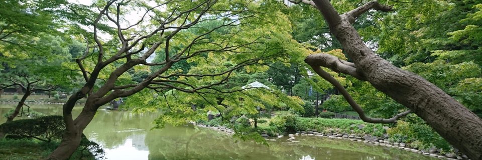 piko76's profile banner image