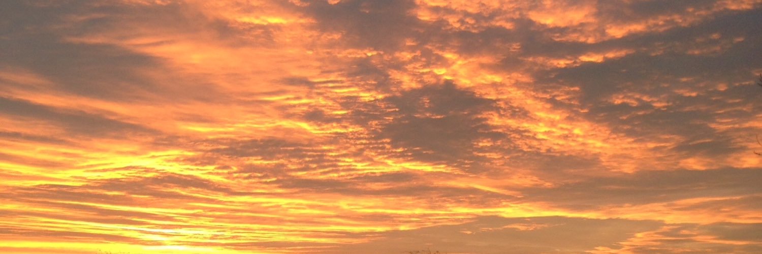 lyndonward67's profile banner image