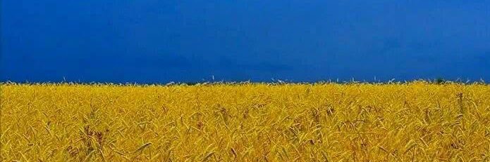 JCerevacs's profile banner image