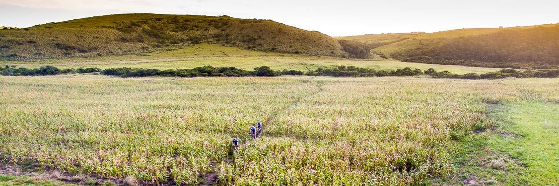 GO! & Express banner