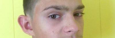 seditiousseals banner