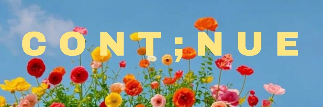 🌙 banner
