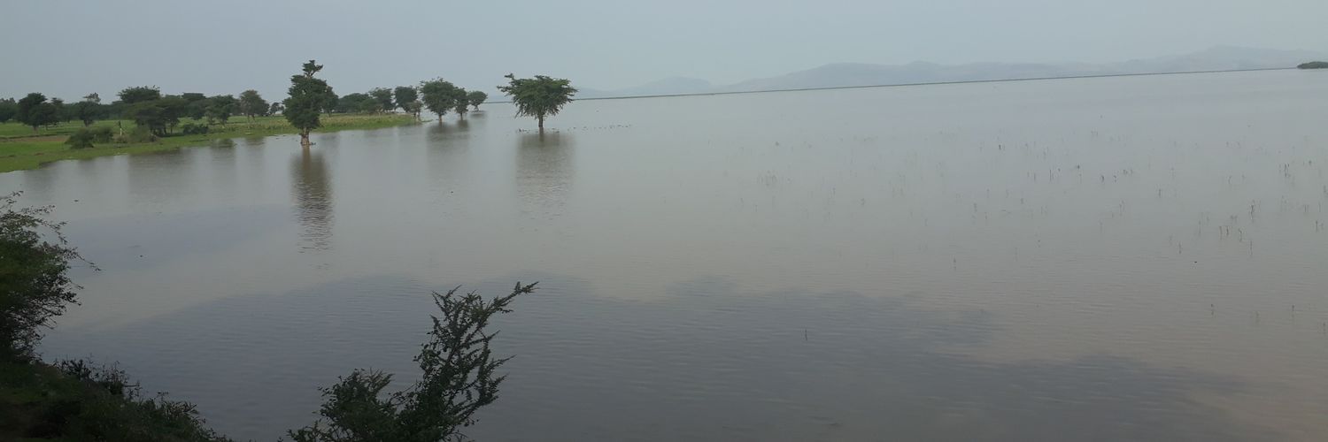 Meron Teferi Taye banner