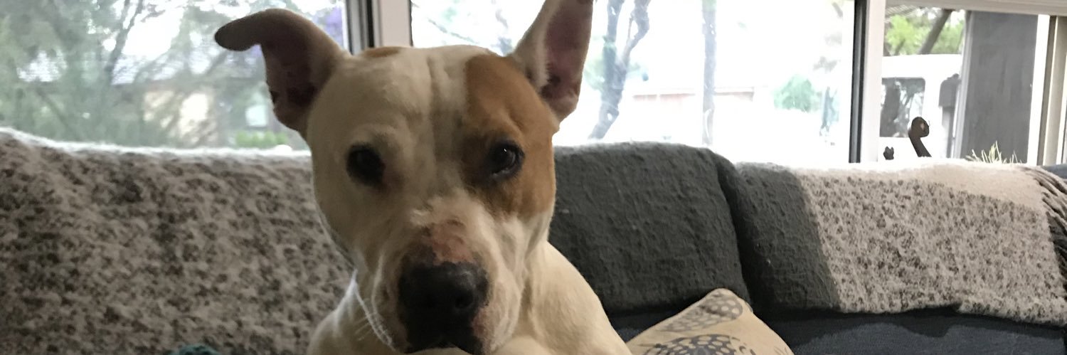 Matthew Wilson banner