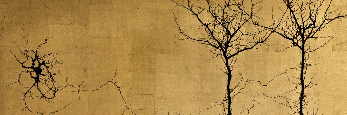 Raphaël Millière's banner