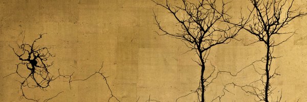 raphaelmilliere Profile Banner