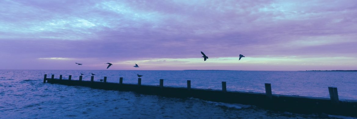 zo_cz's profile banner image