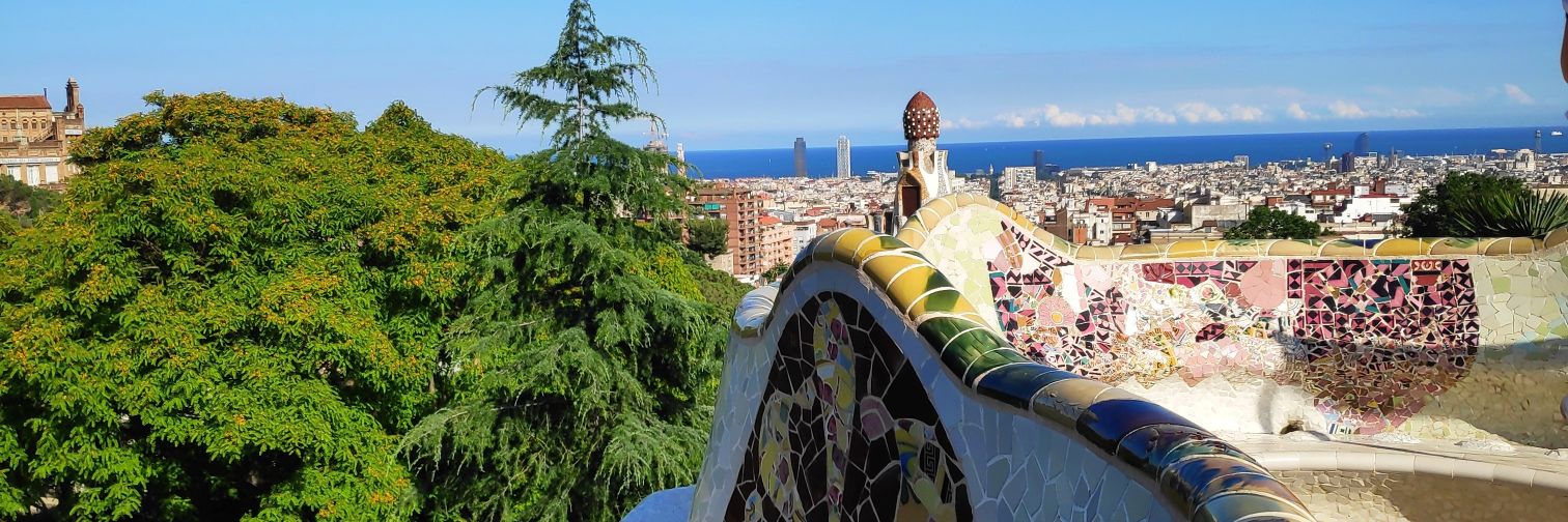 Albert Martínez i Segura banner