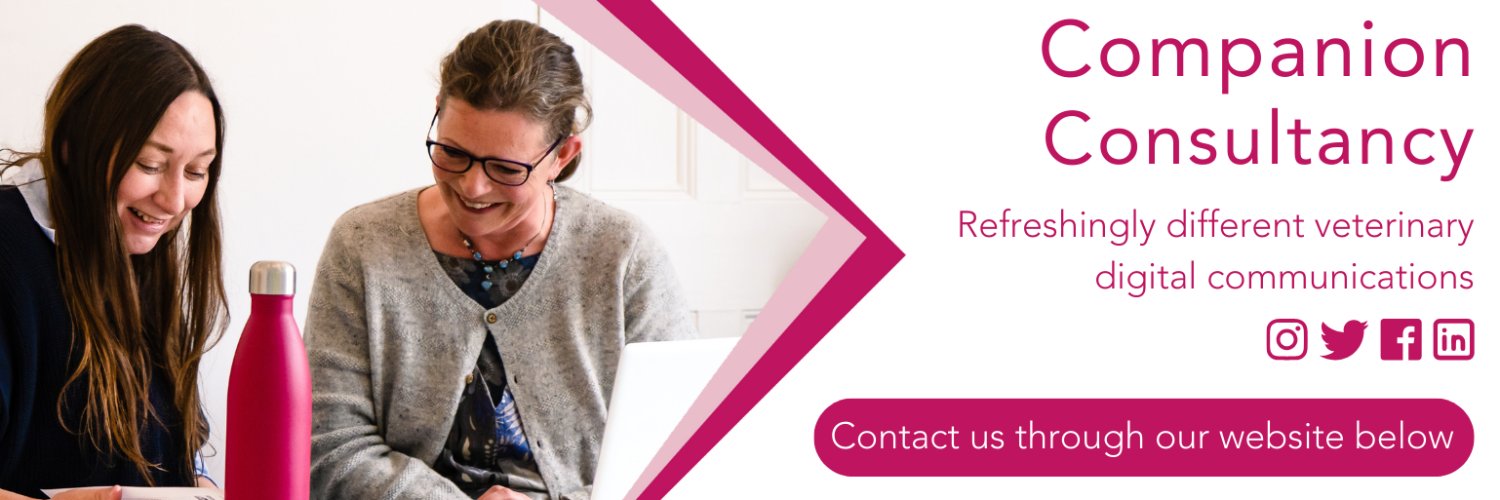 companionPR's profile banner image