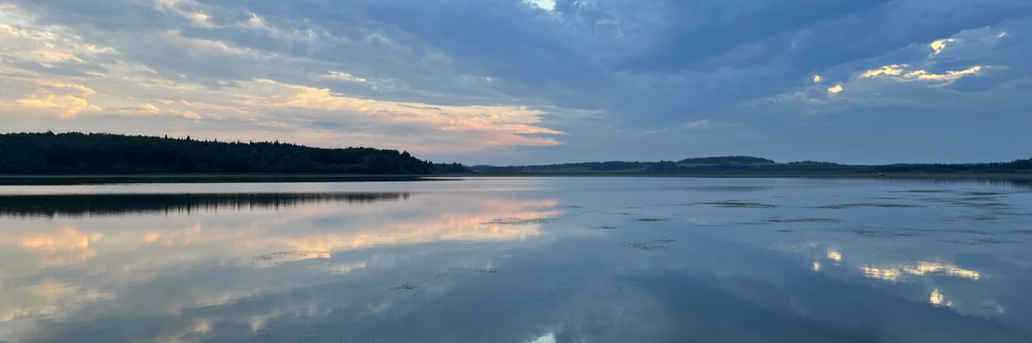 Michelle Stead banner