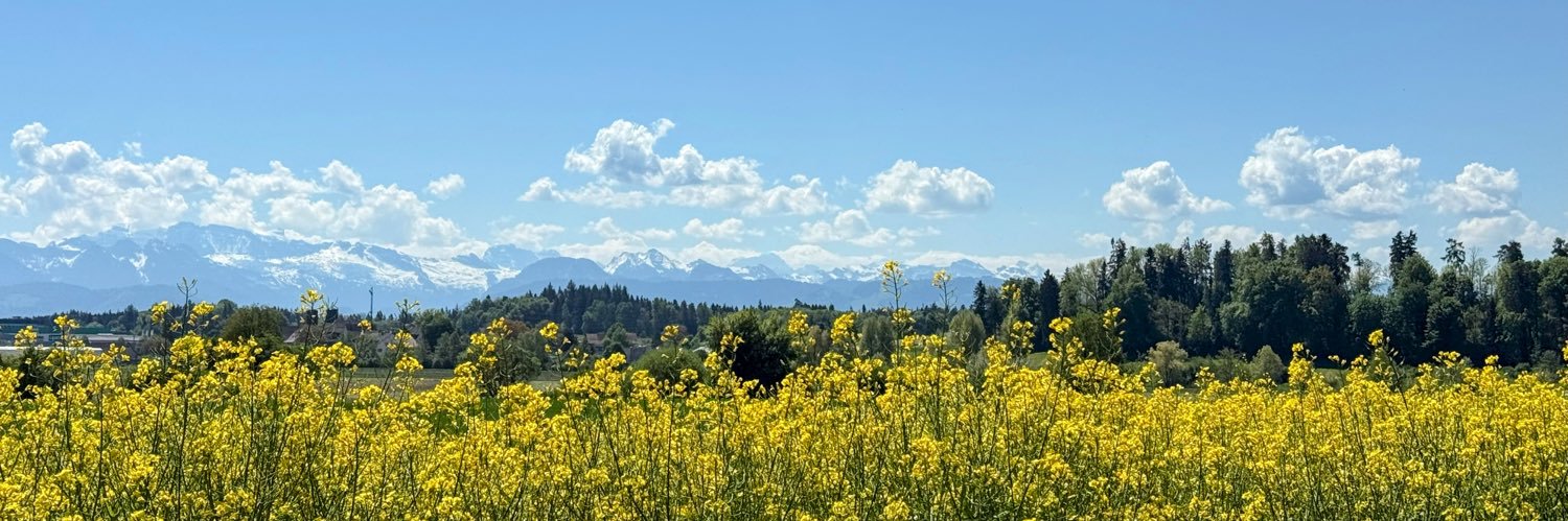 birgit_willi's profile banner image