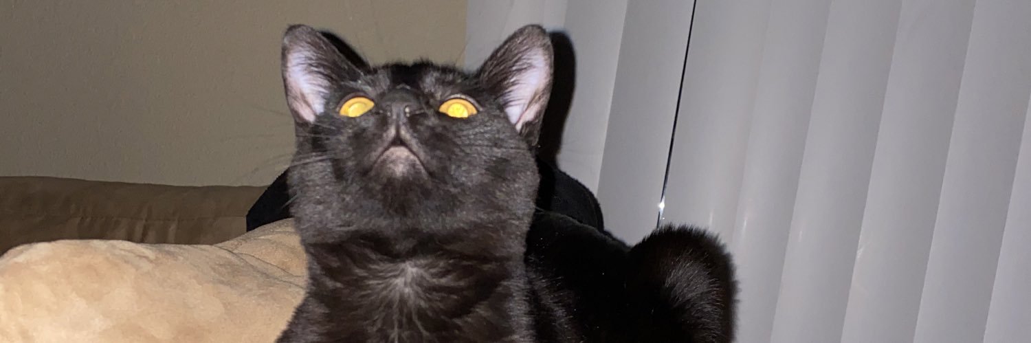 MernBrock's profile banner image