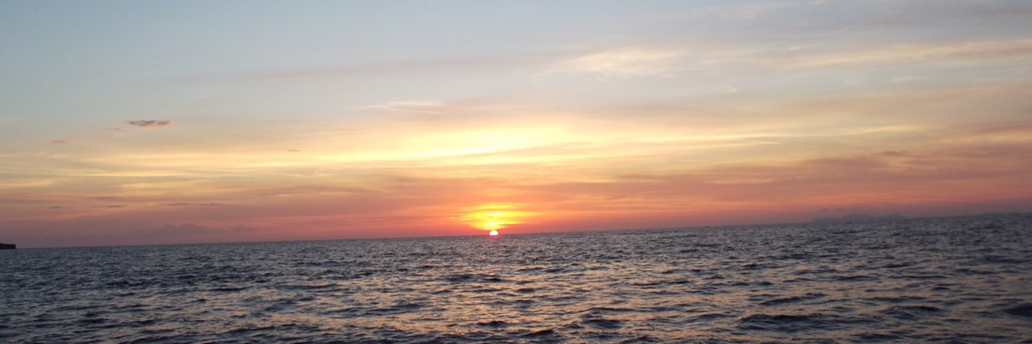 Tom_Hodkinson's profile banner image