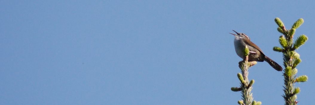 TooRiel's profile banner image