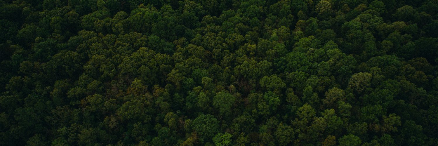 Christoph Schmon banner