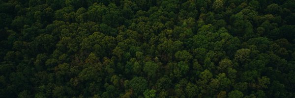 cSchmon Profile Banner