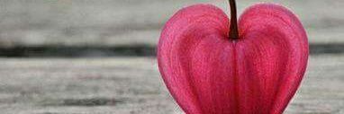 MoheIslam's profile banner image