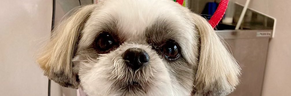 itochan96's profile banner image