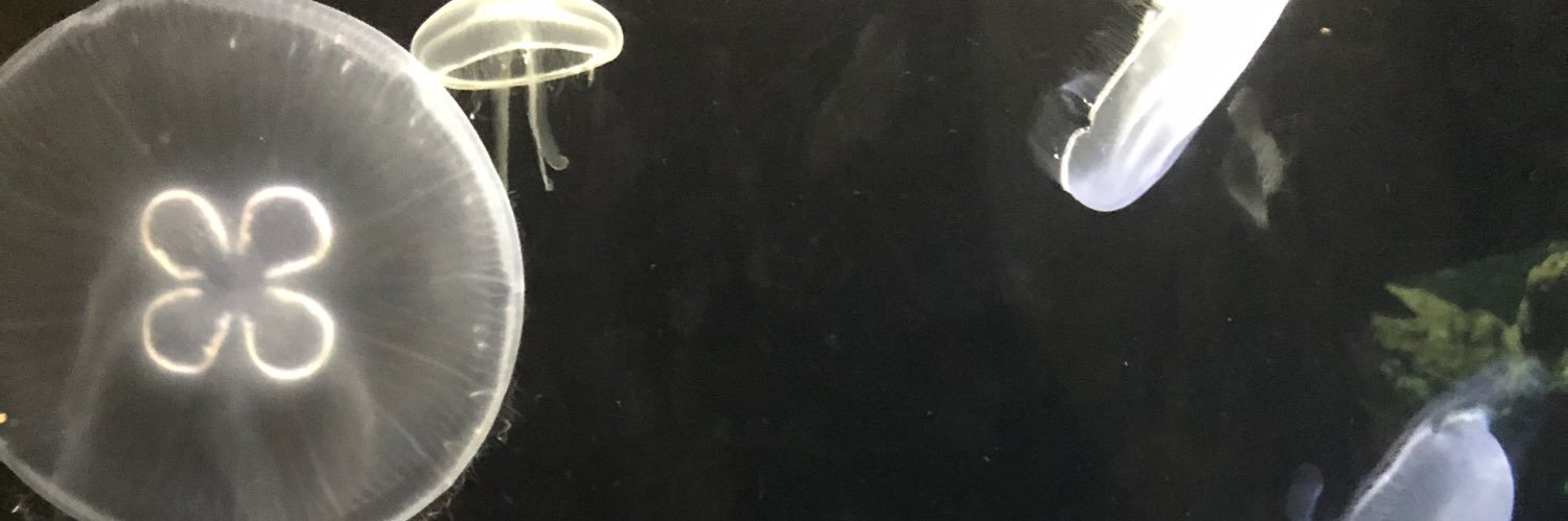 itsswitzz's profile banner image