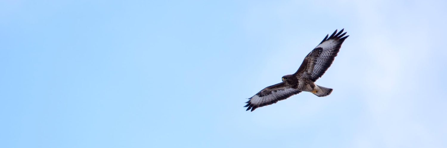 katrin_aarma's profile banner image