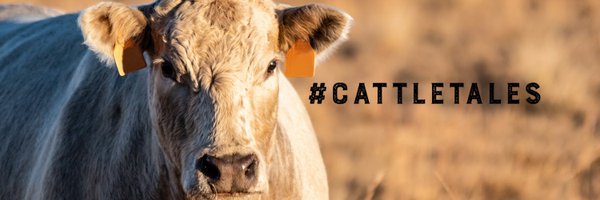 CattleTales Profile Banner