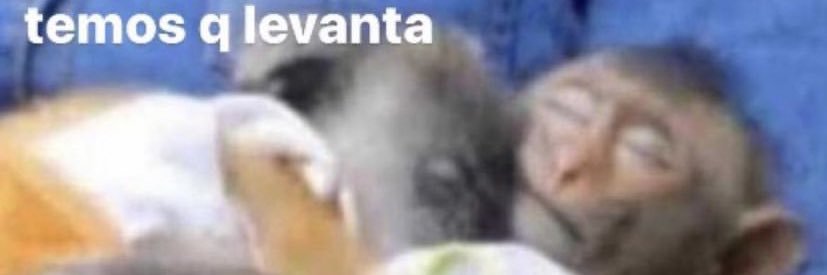 soares_95's profile banner image