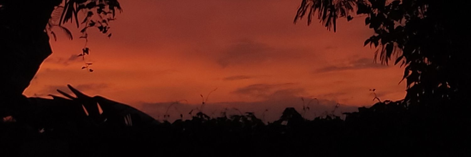 Heyitsmethxn's profile banner image