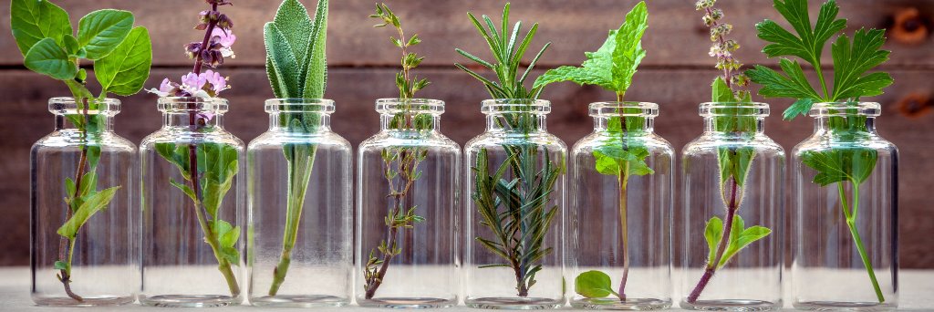 Naturals4Naturals banner