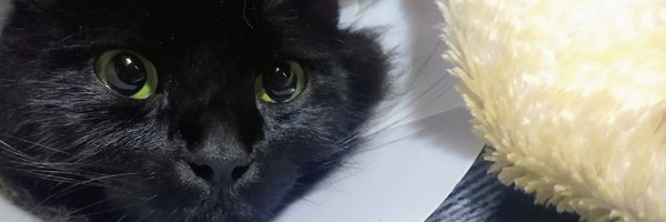 GoticSoledad Profile Banner