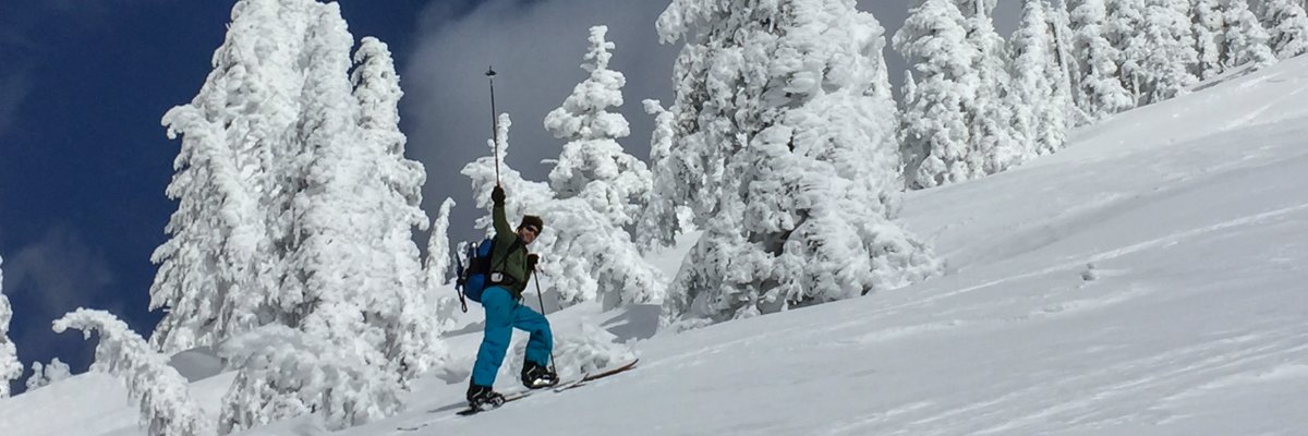 Barney_Swan's profile banner image