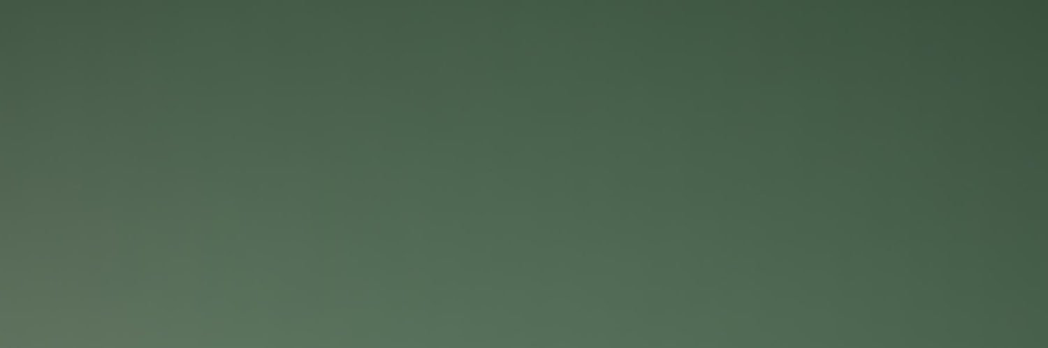 Sander banner