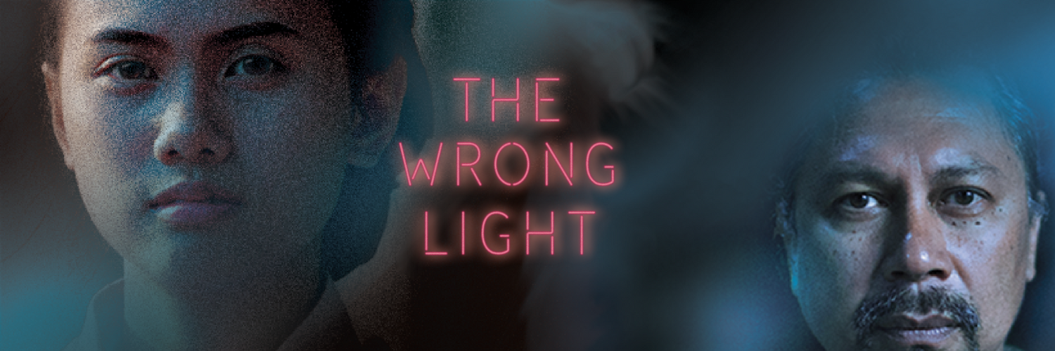 The Wrong Light Doc banner