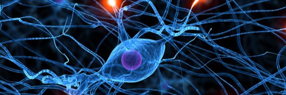 FTD Unit Boston banner