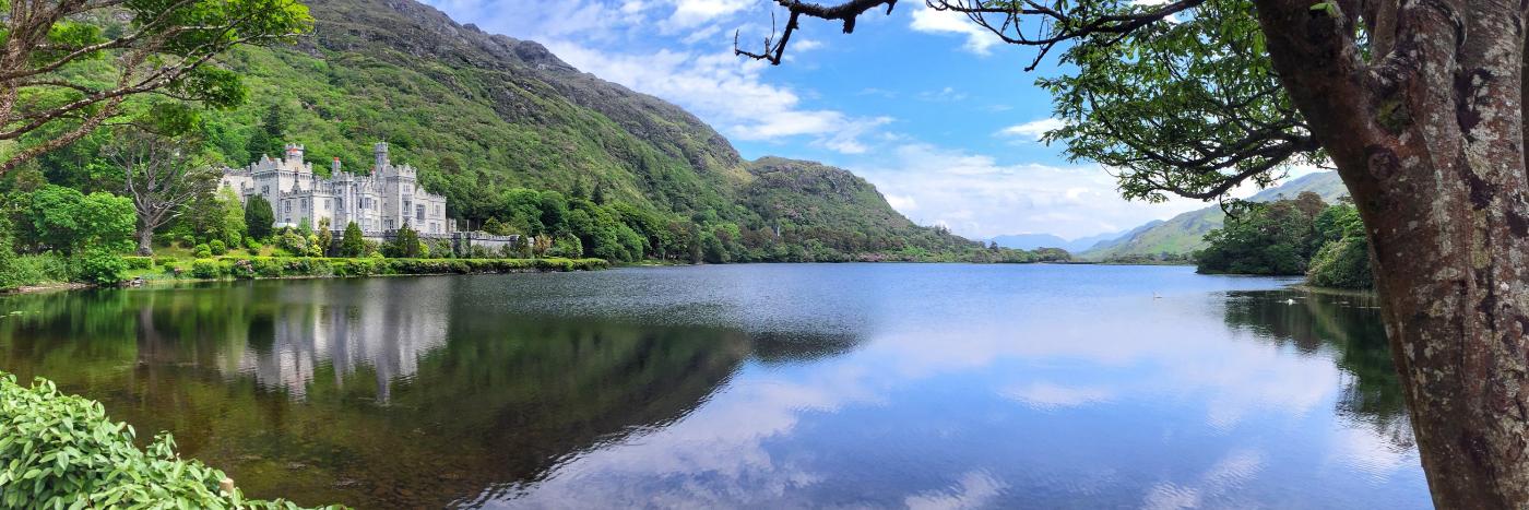 Dr. Chelsea L. Horne banner