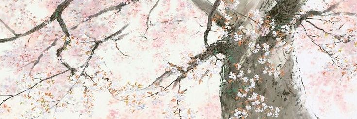 Neth ⋆⁺₊❅. banner