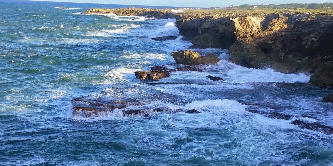 Nicole Newsum banner