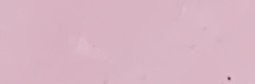 Stinafissh's profile banner image