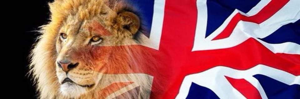 redsue4's profile banner image