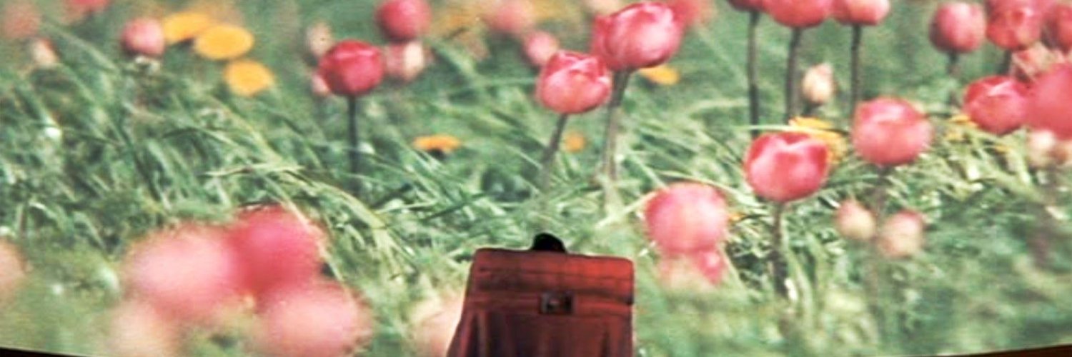 casey_sullivan's profile banner image