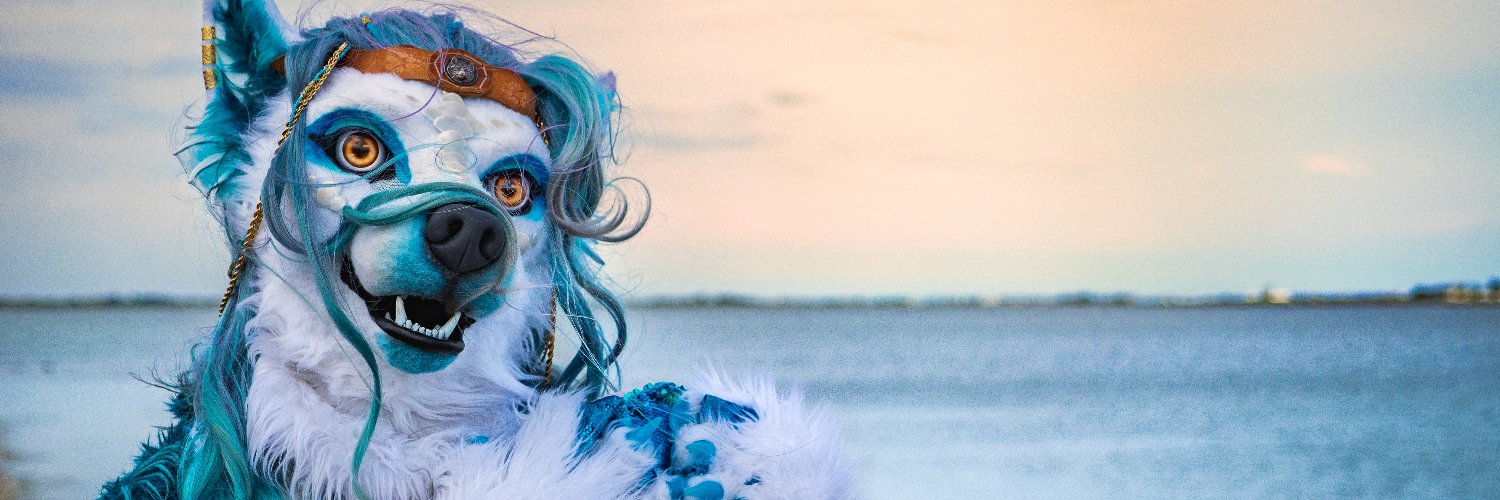 Nash Merwolf 🐠 banner