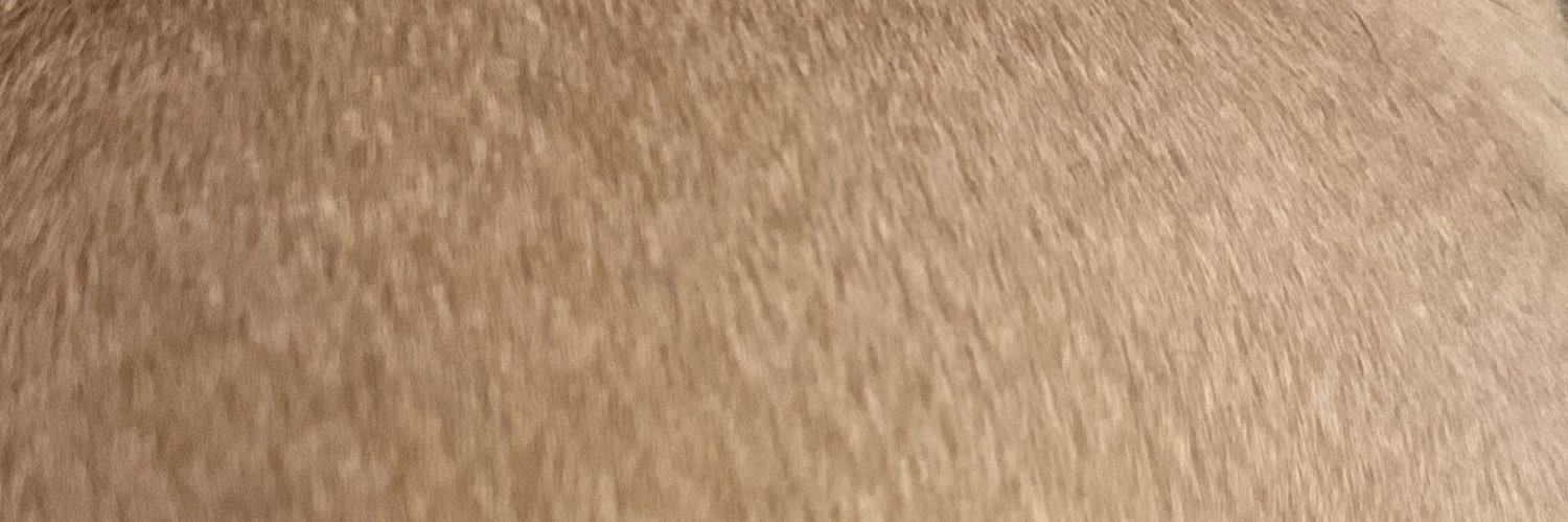 usuallydontcare's profile banner image