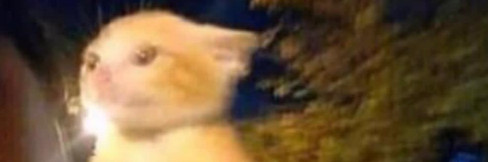 CharltonnG's profile banner image