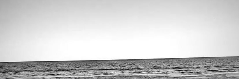 joao banner