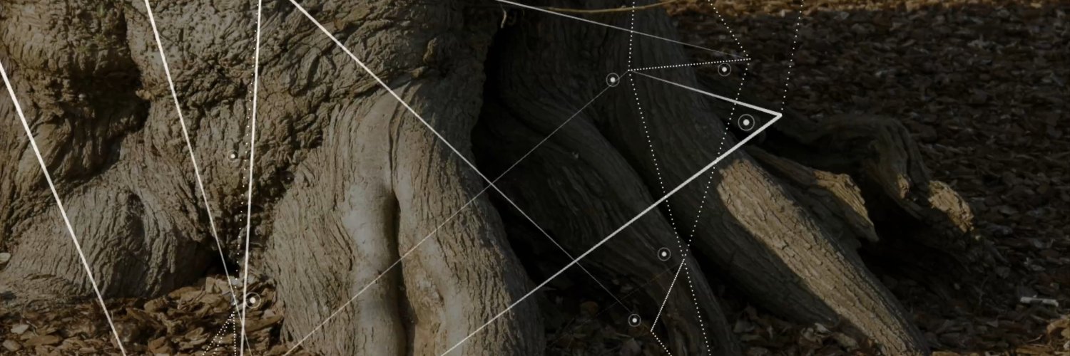 Nicholas Carn banner