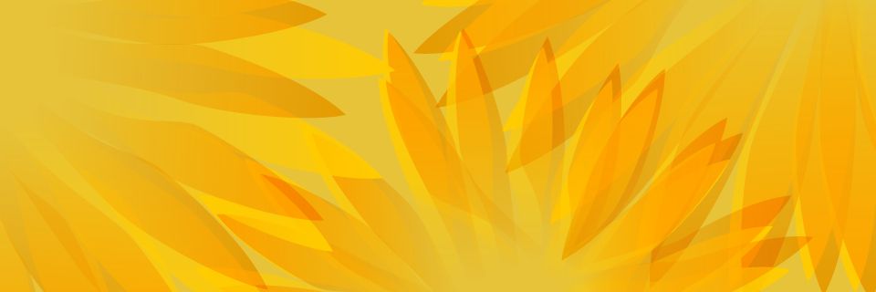 moomintomi_'s profile banner image