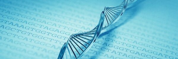 wejlab Profile Banner