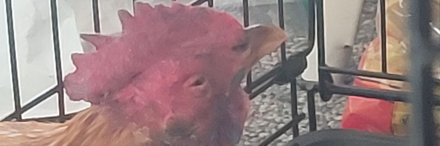 J's banner
